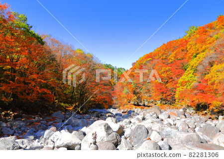 Cheonya Valley, 漢拏山, 秋天, 楓葉, 山谷, 山谷, 景點, 旅遊, 旅遊景點, 登山, 在森林裡, Cheonya Valley, 漢拏山, 秋天, 楓葉, 山谷, 山谷, 景點, 旅遊, 旅遊景點, 登山, 在森林裡, 82281306