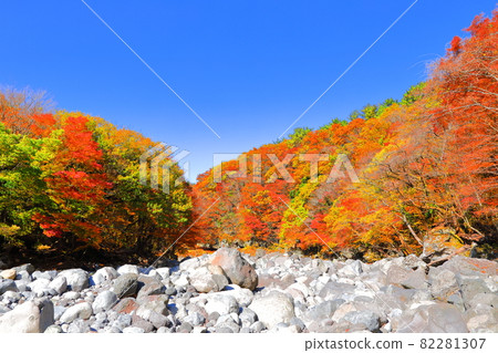 Cheonya Valley, 漢拏山, 秋天, 楓葉, 山谷, 山谷, 景點, 旅遊, 旅遊景點, 登山, 在森林裡, Cheonya Valley, 漢拏山, 秋天, 楓葉, 山谷, 山谷, 景點, 旅遊, 旅遊景點, 登山, 在森林裡, 82281307