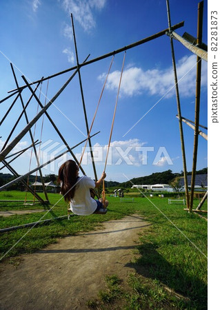 Giant swing on the hill Crook Fields 82281873