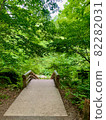 Oirase Gorge sidewalk stairs 82282031