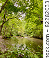 Oirase Gorge: Calm water surface and green 1 82282033