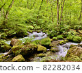 Oirase Gorge, the murmuring of water 82282034