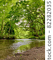 Oirase Gorge: Calm water surface and greenery 2 82282035