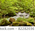 Oirase Gorge: Fierce water surface 82282036