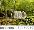 Oirase Stream Choshi Otaki 82282039