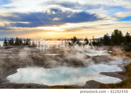 Yellowstone 82282438