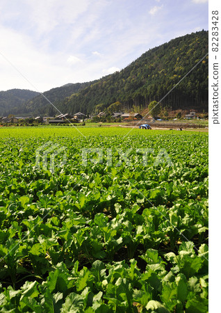 [Kyoto Ohara Satoyama Idyllic Landscape] Kyoto City, Kyoto Prefecture 82283428
