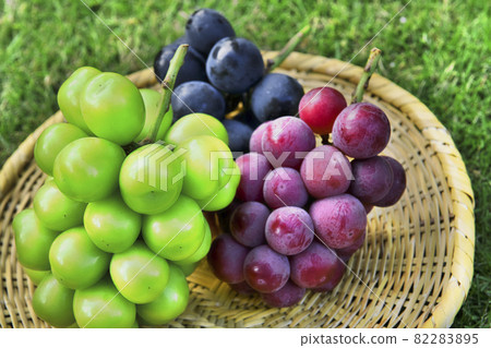 秋天的味道葡萄 82283895