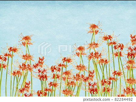 簇擁在秋空映襯下的孤挺花 彼岸花萬壽坂【手繪水彩】風景 82284492