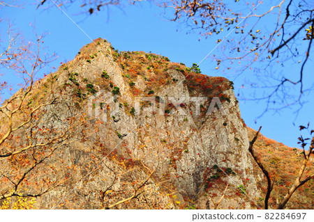 Hallasan, autumn leaves, maple, autumn, climbing, lava, travel, landscape, landscape, 82284697
