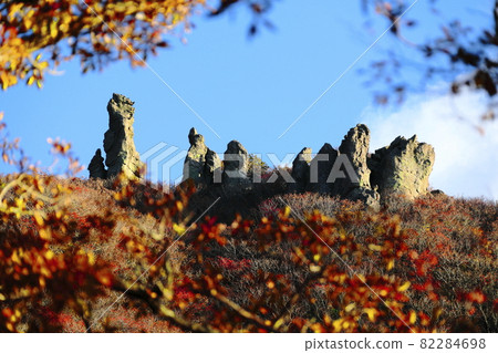 Hallasan, autumn leaves, maple, autumn, climbing, lava, travel, landscape, landscape, 82284698