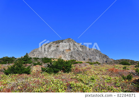 漢拏山、秋天、楓樹、落葉、楓樹、熔岩、登山、旅行、靈實路線 82284871