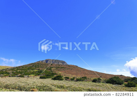Hallasan, Autumn, Maple, Fallen Leaves, Maple Tree, Lava, Climbing, Travel, Yeongsil Course Hallasan, Autumn, Maple, Fallen Leaves, Maple Tree, Lava, Climbing, Travel, Yeongsil Course 82284911