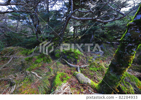漢拏山,秋葉,秋天,靈實路線,登山,旅遊勝地,天空,藍色,火山, 漢拏山,秋葉,秋天,靈實路線,登山,旅遊勝地,天空,藍色,火山, 82284933