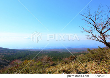 漢拏山,楓樹,秋天,楓葉,落葉,秋天,山,爬,楓樹, 漢拏山,楓樹,秋天,楓葉,落葉,秋天,山,爬,楓樹, 82285088