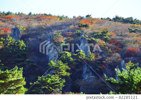 Hallasan, Maple, Autumn, Maple Leaf, Fallen Leaves, Fall, Mountain, Climb, Maple Tree, 82285121