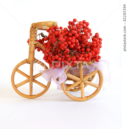 Still life with red natural rowan on a white background 82285394