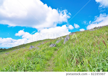 [Shikoku Karst (Tengu Highlands Observatory)] Yoshiunoko, Tsuno-cho, Takaoka-gun, Kochi Prefecture 82285987