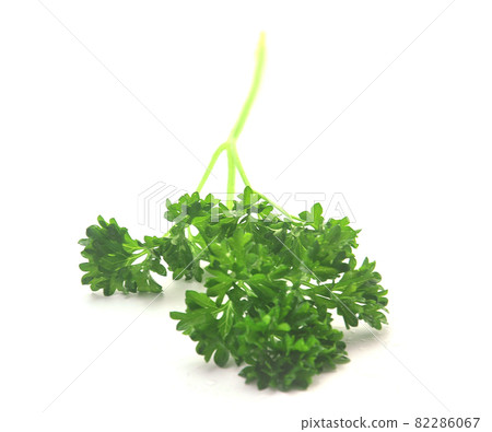 Parsley 82286067