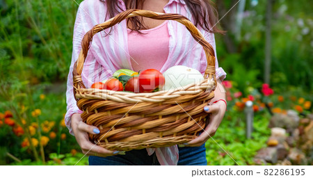 faceless happy smiling woman farmer hold a basket of vegetables from her garden. faceless happy smiling woman farmer hold a basket of vegetables from her garden. 82286195