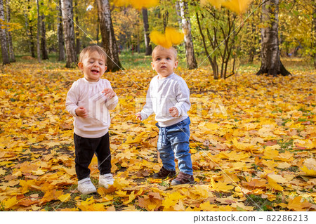 cheerful kids catching maple leaves falling in autumn city Park. cheerful kids catching maple leaves falling in autumn city Park. 82286213