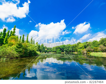 Kichijoji Inokashira Park 82287464