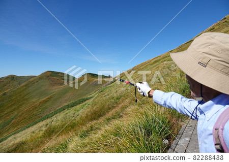 Mountain trail of Chokai 82288488