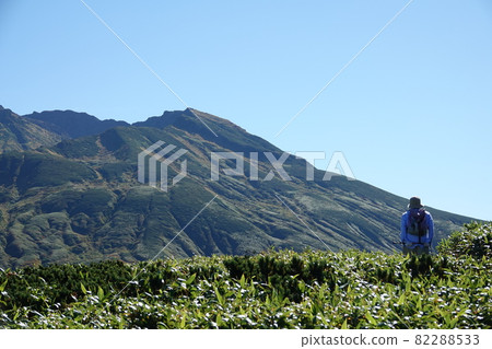 Mountain trail of Chokai 82288533