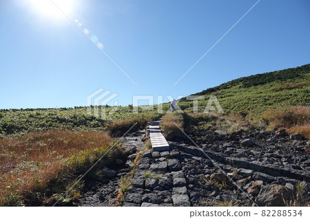 Mountain trail of Chokai 82288534