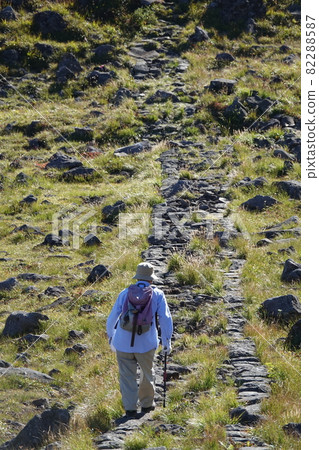 Mountain trail of Chokai 82288587