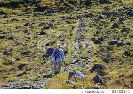 Mountain trail of Chokai 82288593