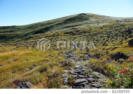 Mountain trail of Chokai Mountain trail of Chokai 82288595