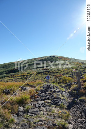 Mountain trail of Chokai 82288596