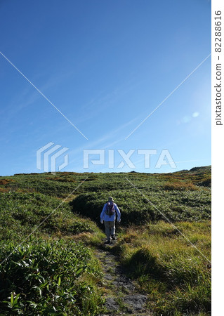 Mountain trail of Chokai 82288616