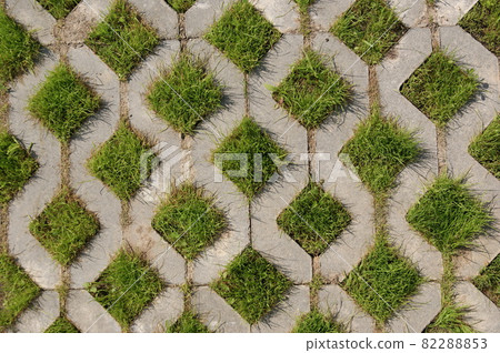 Young green grass grows from the concrete structure 82288853