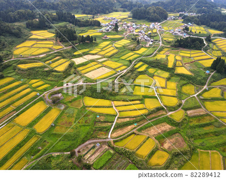 鹿村的梯田（收割前） 82289412