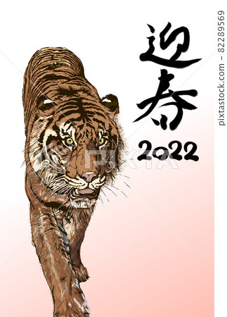 New Year's card tiger New Year's card tiger 82289569