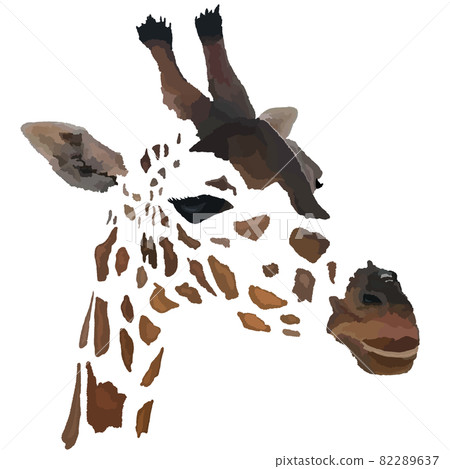 Illustration of a giraffe 82289637