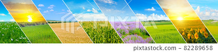 green field and blue sky with light clouds. Collage.Wide photo. green field and blue sky with light clouds. Collage.Wide photo. 82289658