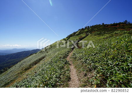 在比土岩山稍早一點的土岩分店附近，沿著從野堀湖登山口到白砂山的山路，可以看到通往八劍山的道路。 82290852