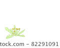 Hand-drawn style illustration of dandelions that sprouted in spring 82291091