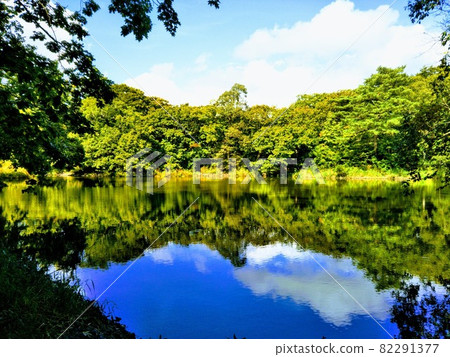 Onuma Quasi-National Park in Hokkaido with impressive beauty 82291377