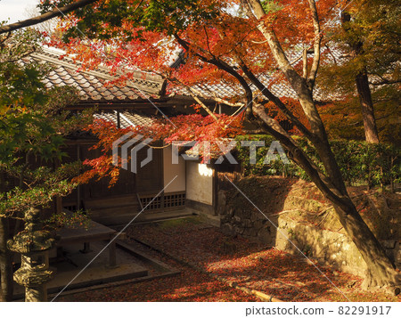 [Kyoto] Autumn leaves of Honen-in 82291917