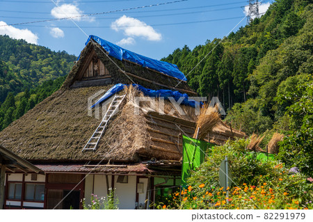 Re-roofing thatched roof of an old folk house 82291979