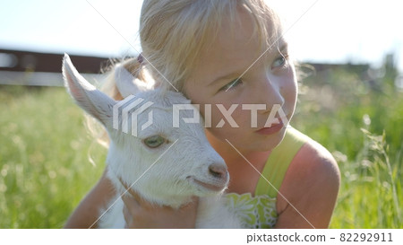 A six-year-old girl in a meadow gently hugs a small white goat. A six-year-old girl in a meadow gently hugs a small white goat. 82292911