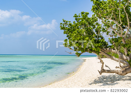 Beautiful beach on Taketomi Island, Okinawa Beautiful beach on Taketomi Island, Okinawa 82293002