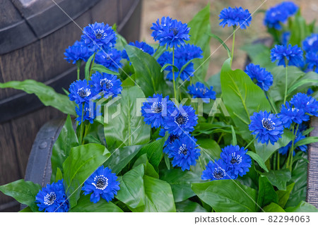 Artificial Blue Flowers Artificial Blue Flowers 82294063