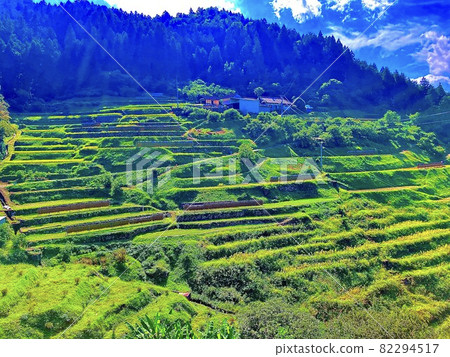 Rice terraces in Uchiko Town, Ehime Prefecture Rice terraces in Uchiko Town, Ehime Prefecture 82294517