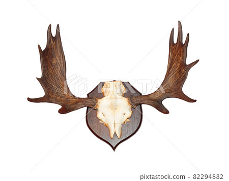 Antler Antler 82294882