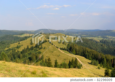 Wonderful natural landscape. Forest and grassy hills. Wild nature. Wonderful natural landscape. Forest and grassy hills. Wild nature. 82296009